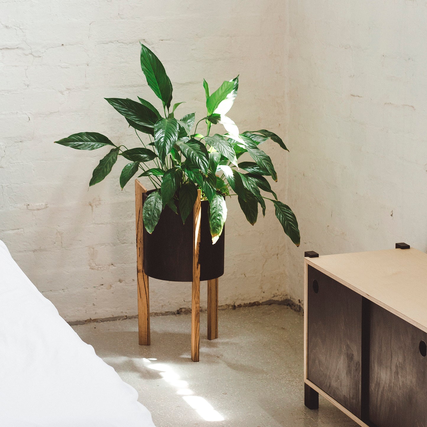 tripi planter