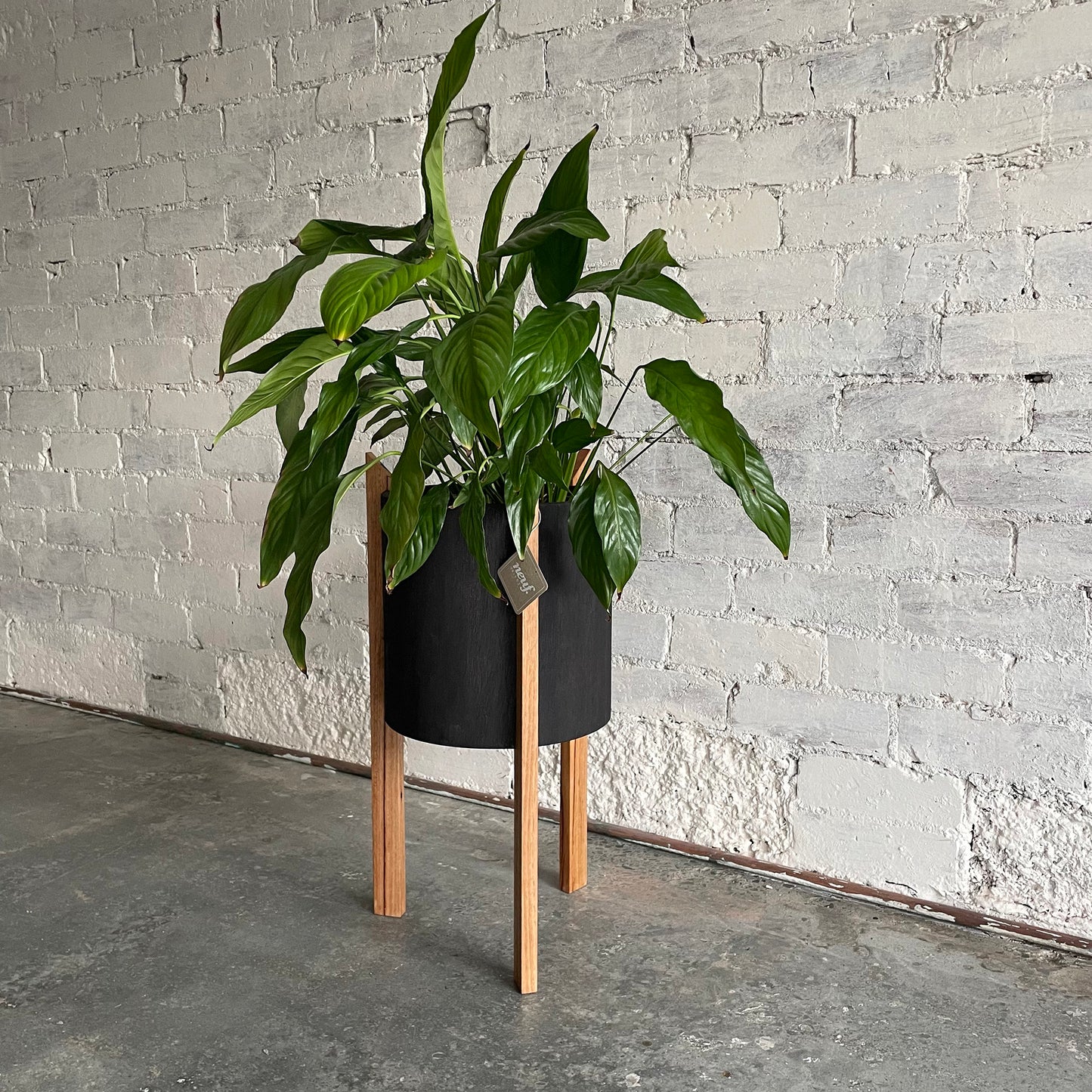 tripi planter