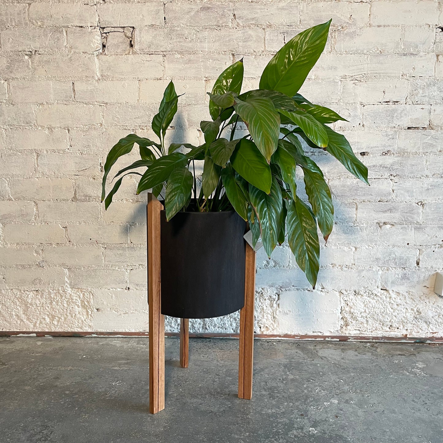 tripi planter